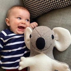 Koala Bear with boy in stripy top