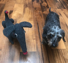 Charcoal dachshund soft toy by cdbdi