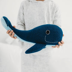 whale blue cdbdi being held