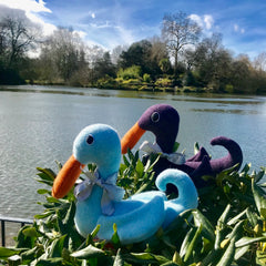 soft toy ducks by lake cdbdi