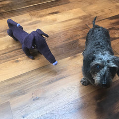 Dark purple soft toy dachshund by cdbdi