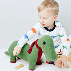 Dinosaur playing with boy in green and red by cdbdi
