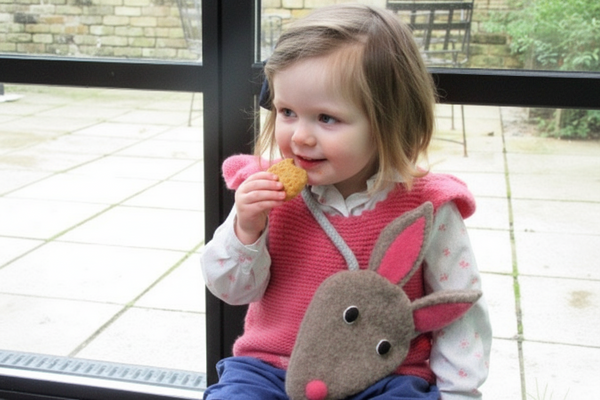 Bunny Rabbit Handbag For Children