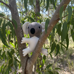 Koala Bear Soft Toy , Handmade and Personalised