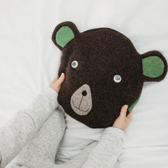 Bear Pyjama Cases