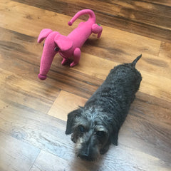 Light pink dachshund soft toy by cdbdi
