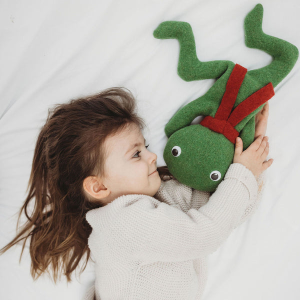 Frog Bean Bag Toys Handmade and Personalised